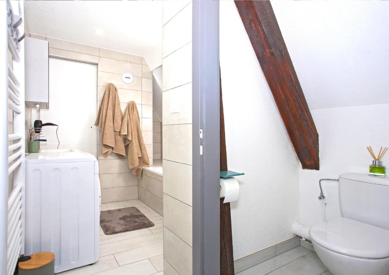 Apartamento Duplex - Le Cosy - Hyper Centre Haguenau Exterior foto